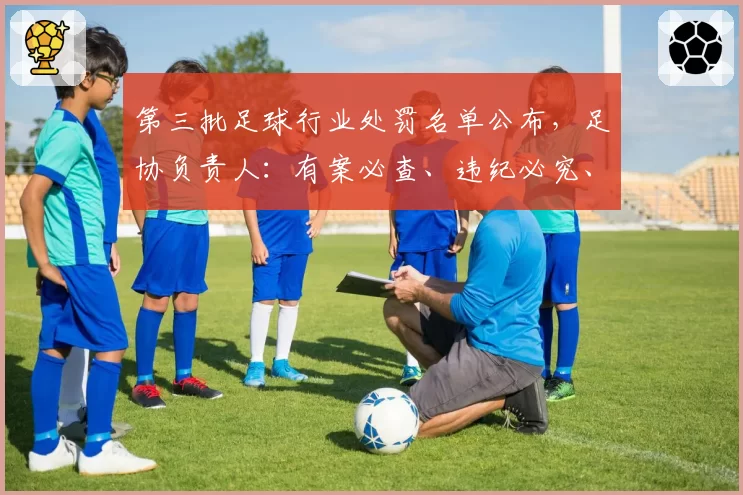 第三批足球行业处罚名单公布，足协负责人：有案必查、违纪必究、执纪必严
