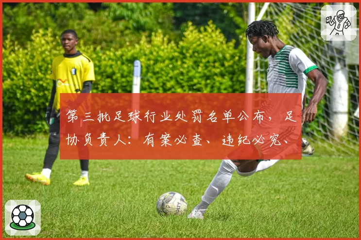 第三批足球行业处罚名单公布，足协负责人：有案必查、违纪必究、执纪必严